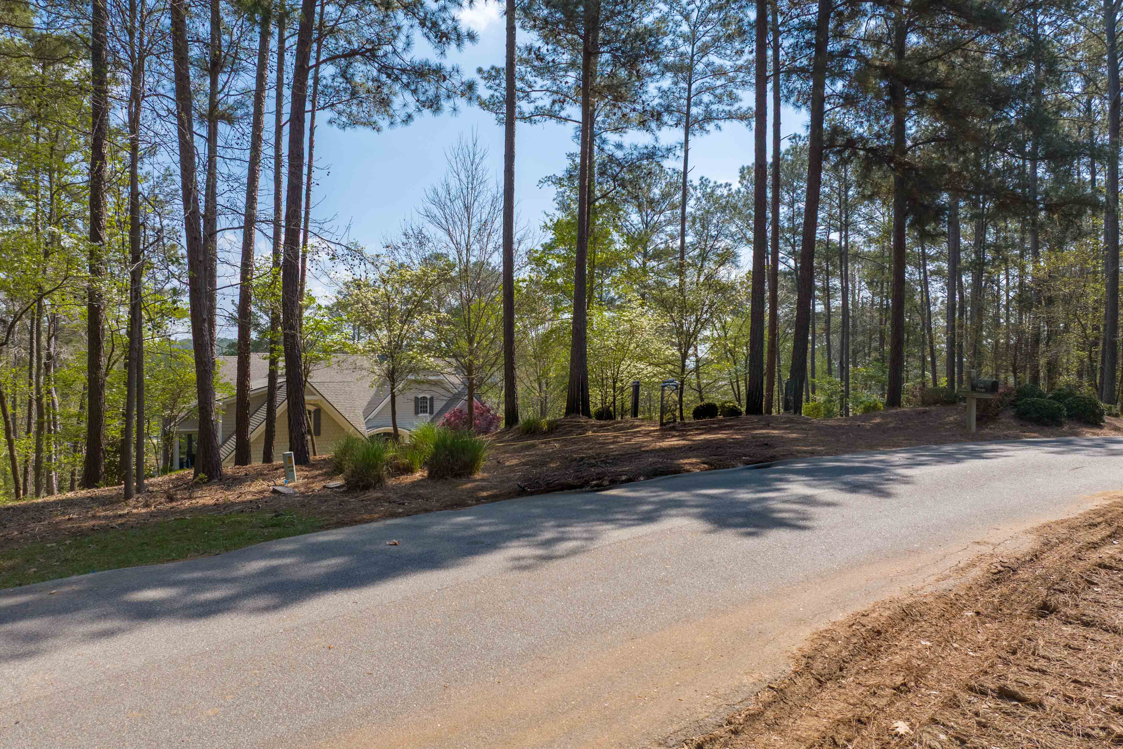 1161 Davison Drive image 5